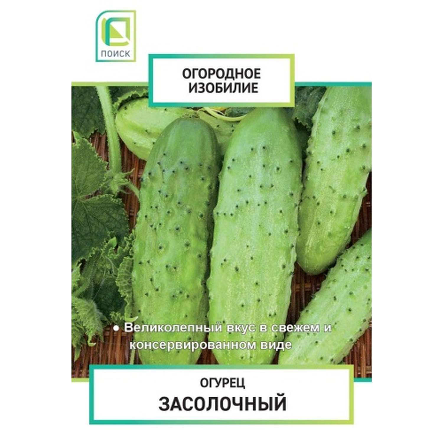 Огурец . Засолочный 0.5г - фото 2