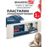 Пластилин Brauberg белый 1 цв.