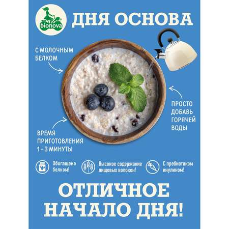 Каша Bionova протеиновая овсяная с черникой 40г