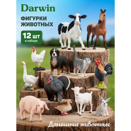 Игровой набор DARWIN Домашние животные 12 шт