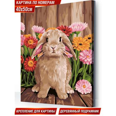 Картина по номерам Hobby Paint Милый кролик в ассортименте