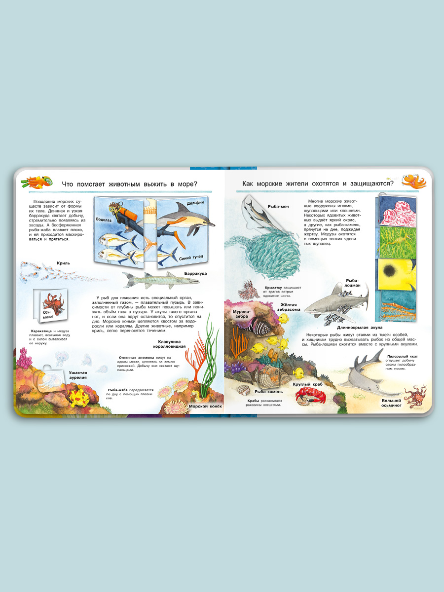 Книга Омега-Пресс Энциклопедия для детей с окошками Мир морских животных - фото 11
