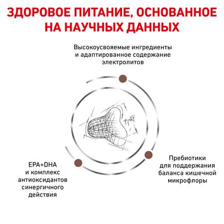 Корм для кошек ROYAL CANIN Fibre Response FR31 при запоре 2кг