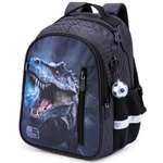 Рюкзак School Stantard