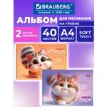 Альбом Brauberg А4 40 лист. 2 шт.