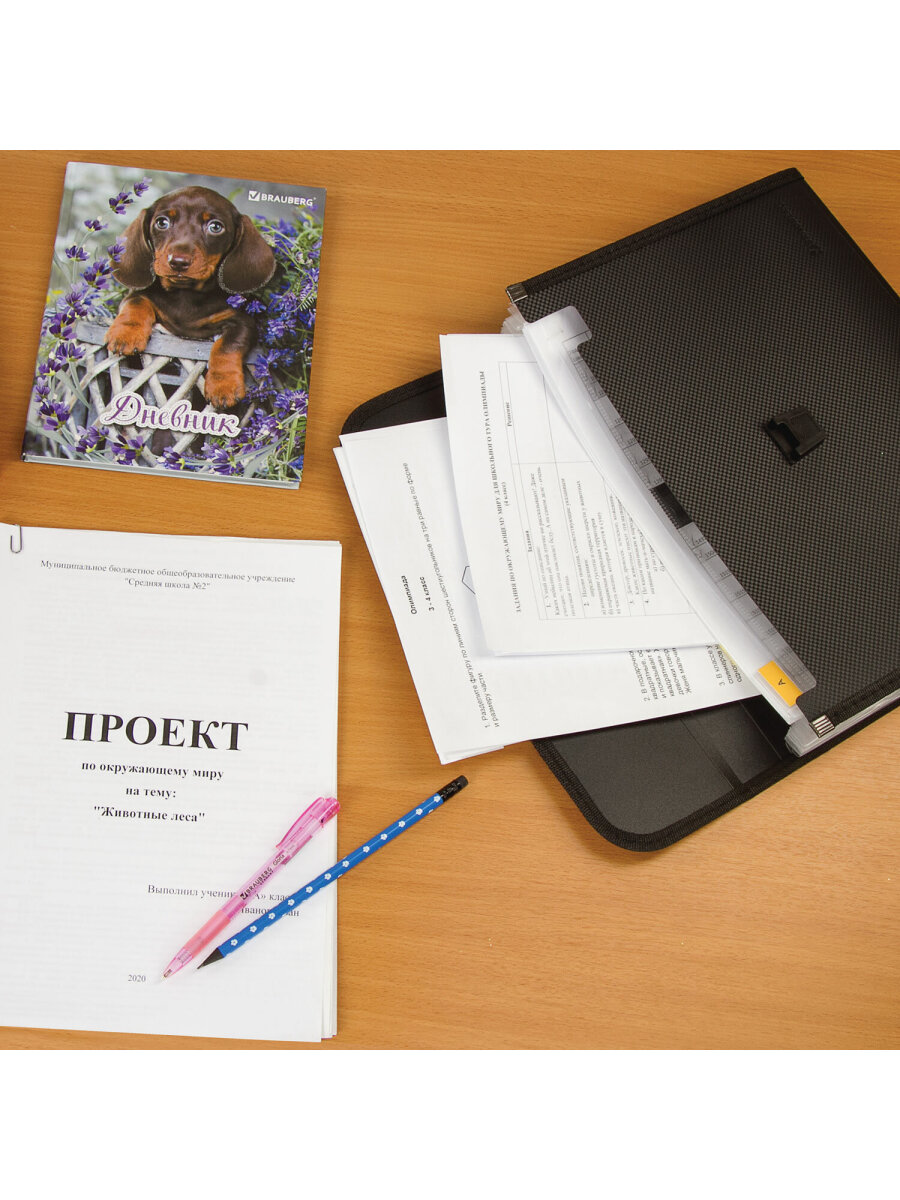 Папка для тетрадей Brauberg А4 - фото 14