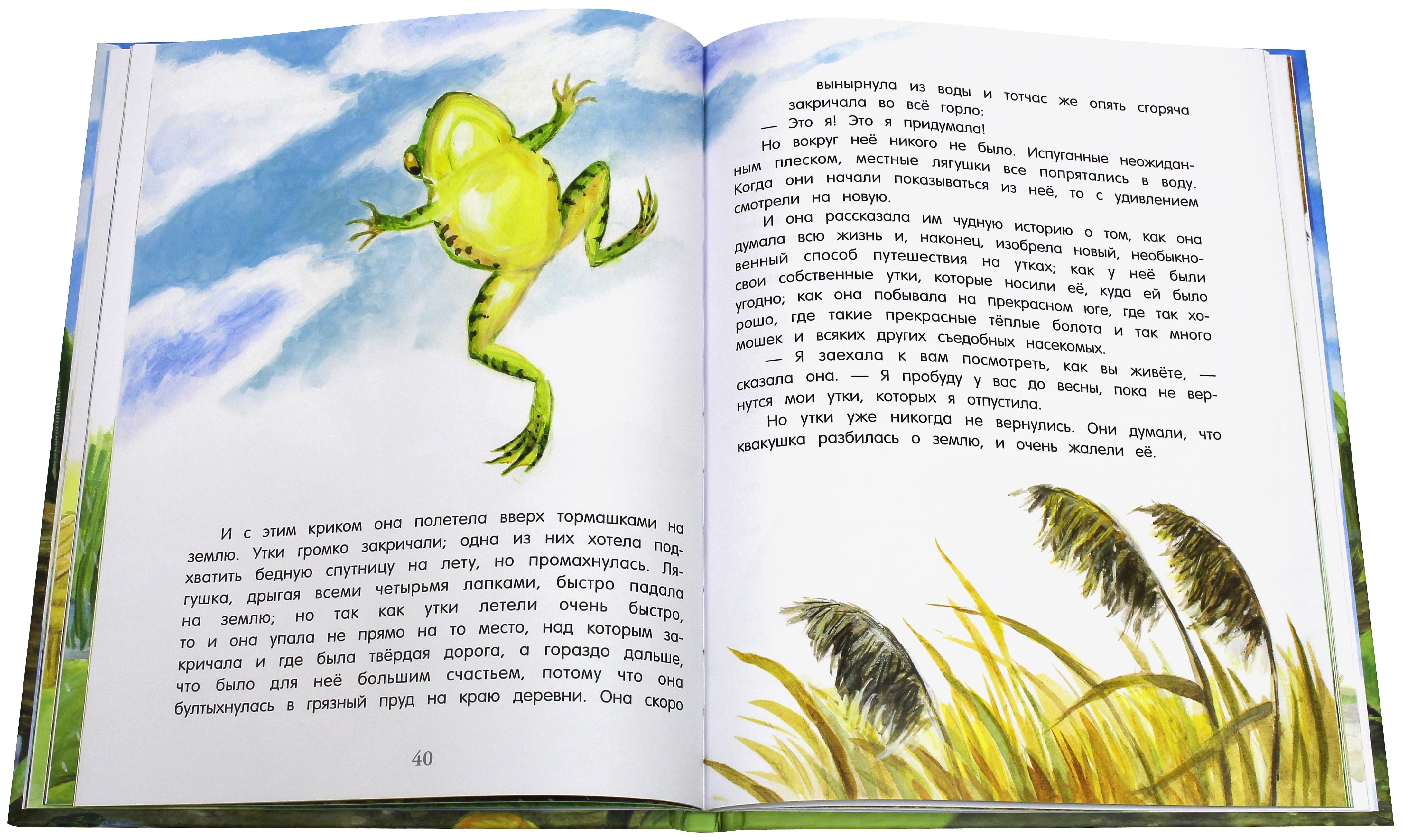 Книга Лабиринт Лягушка путешественница - фото 6