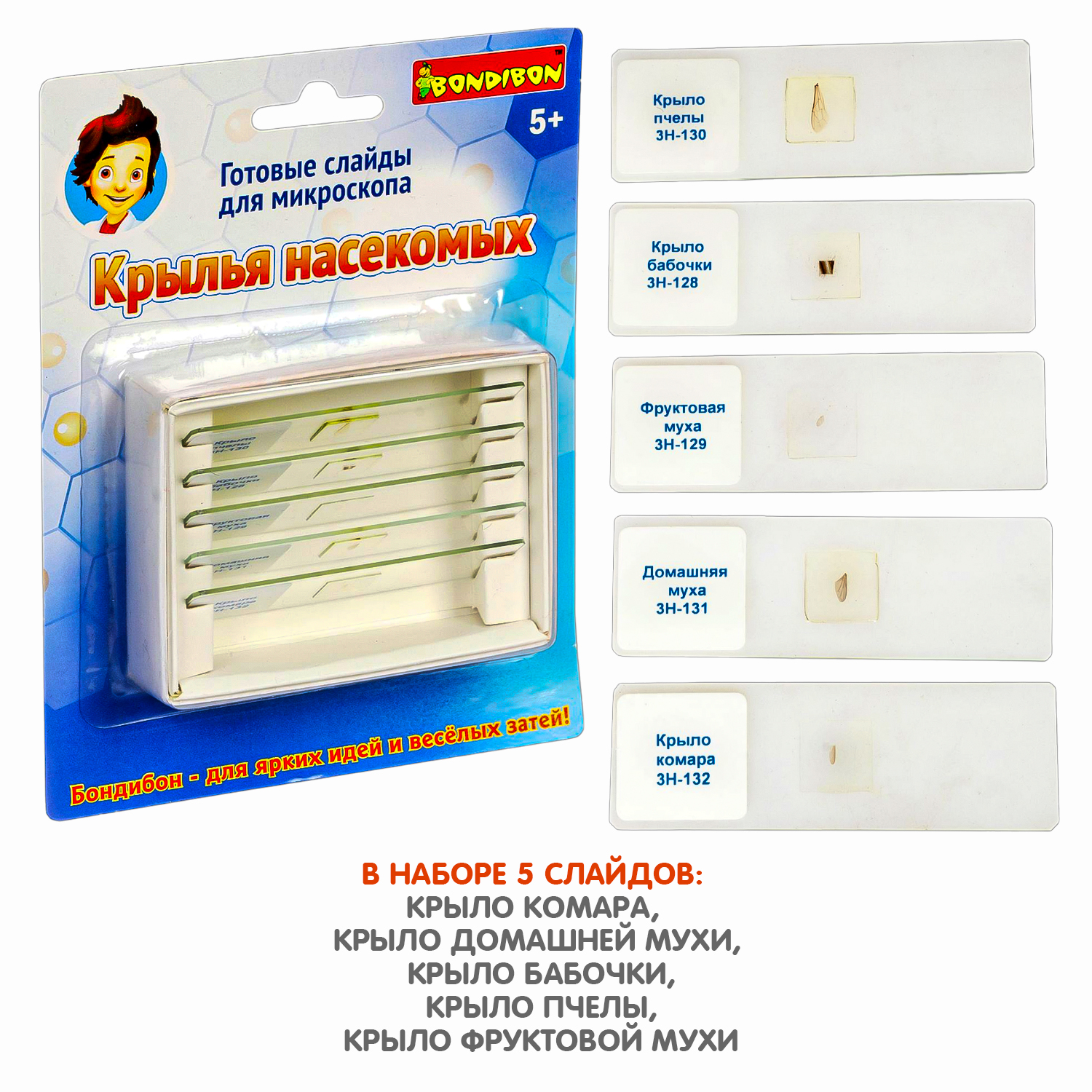 Микроскоп Bondibon - фото 9