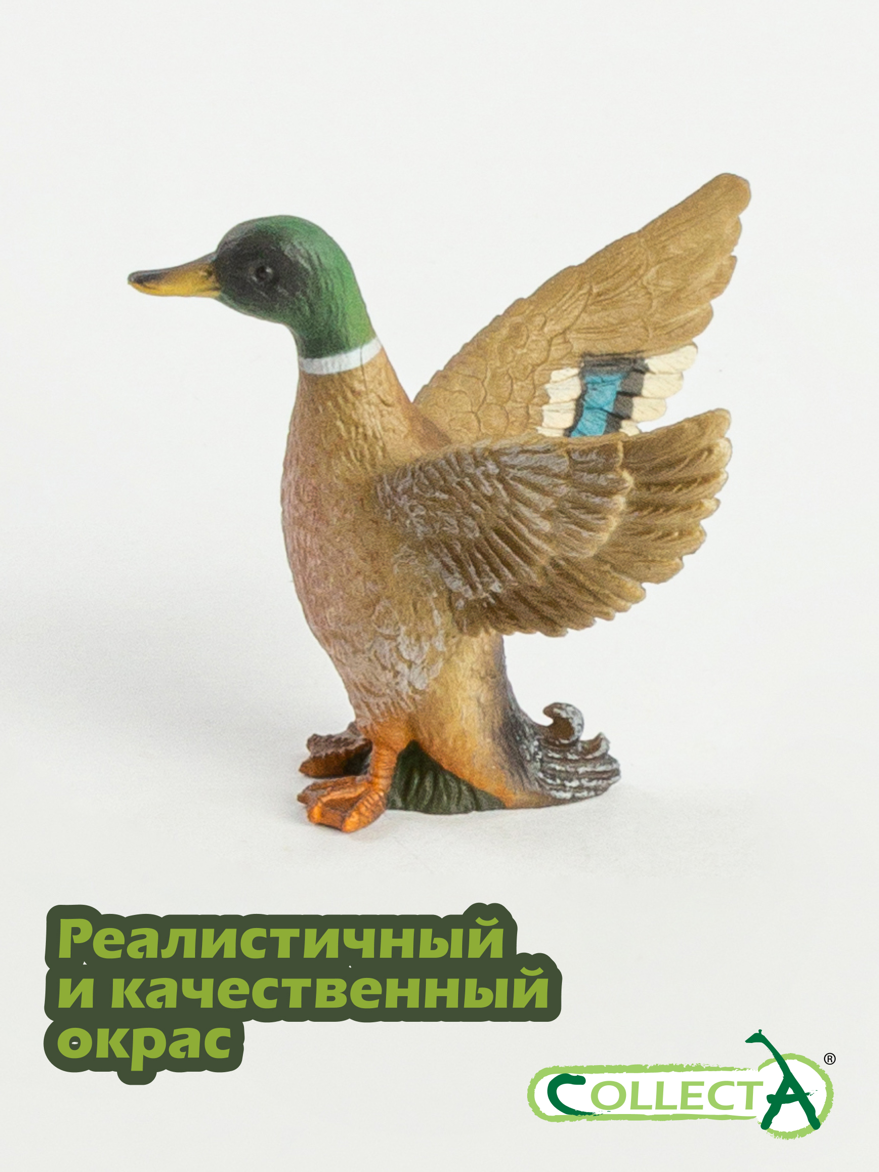Фигурка Collecta Дикий селезень 5 см - фото 4