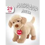Мягкая игрушка Trudi Лабрадор Лиам 29 см