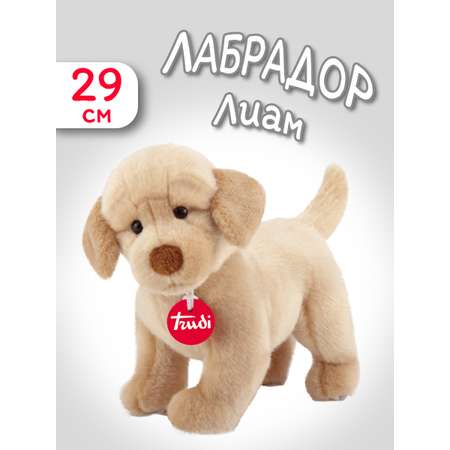 Мягкая игрушка Trudi Лабрадор Лиам 29 см