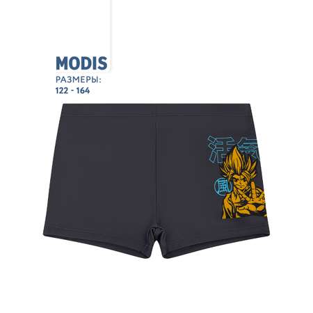 Плавки MODIS