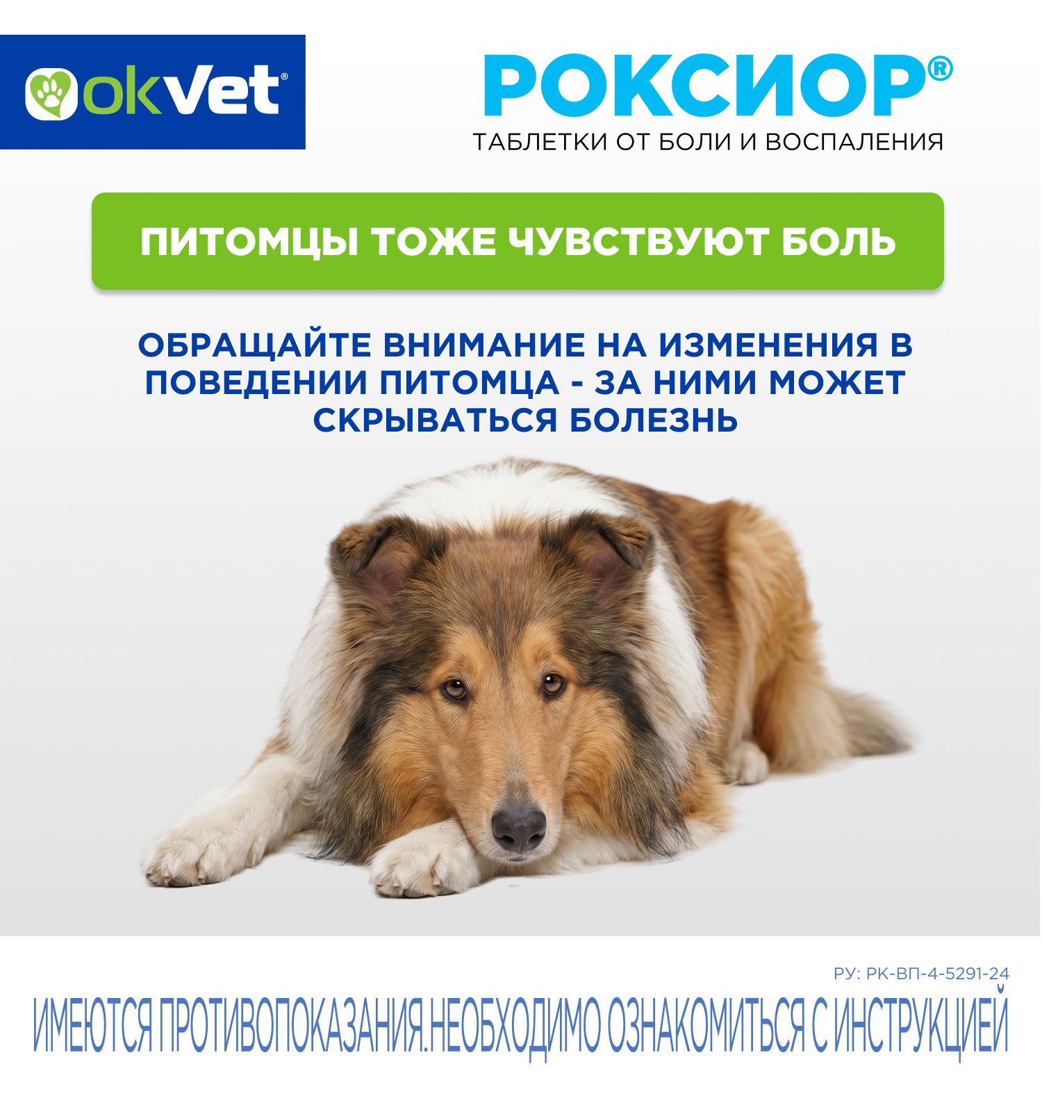 Таблетки для собак Okvet Роксиор противовоспалительный лекарственный препарат 40мг 10 таблеток - фото 7