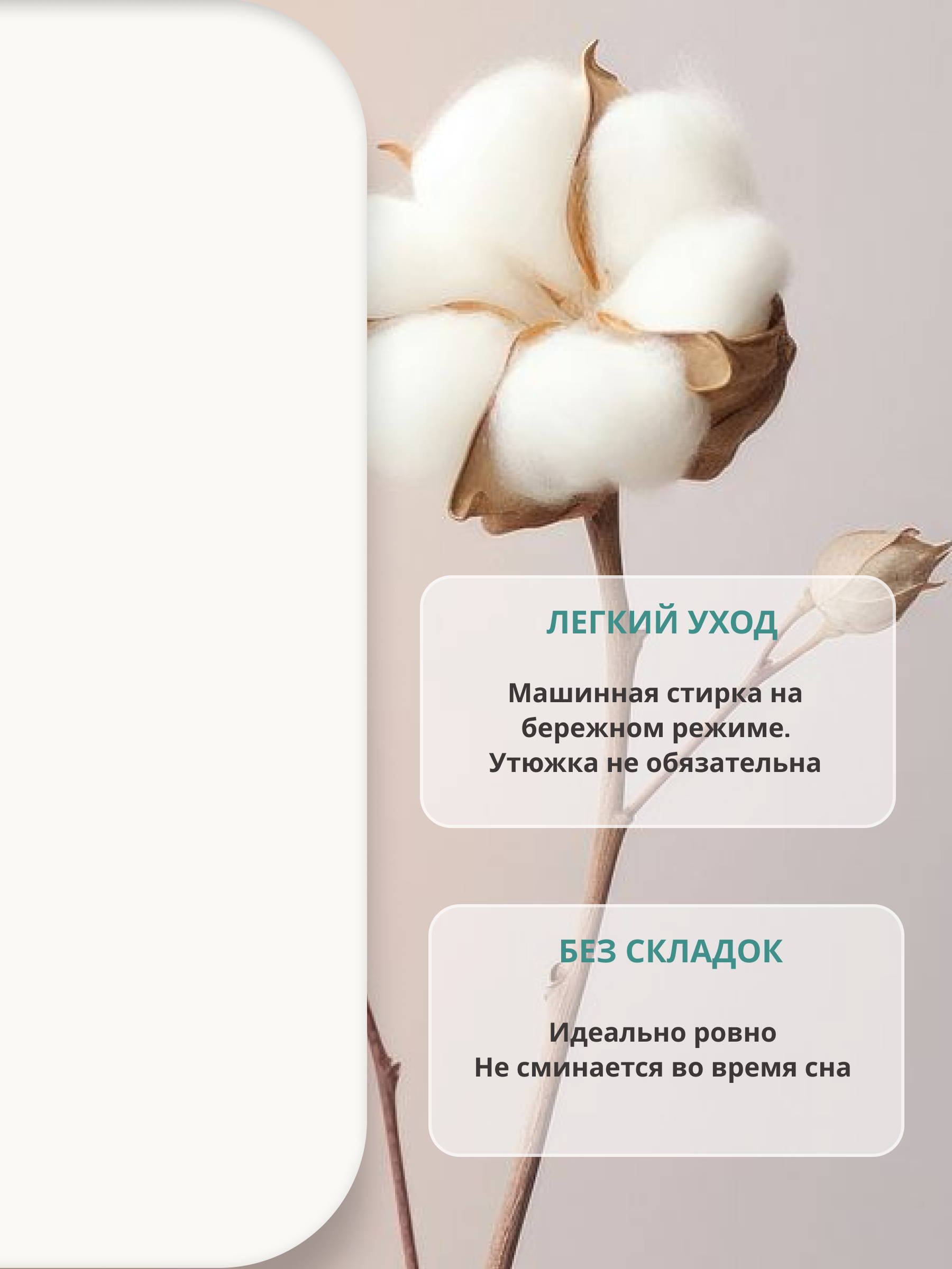 Простыня Kitten молочный 70 x 100 см на резинке - фото 8
