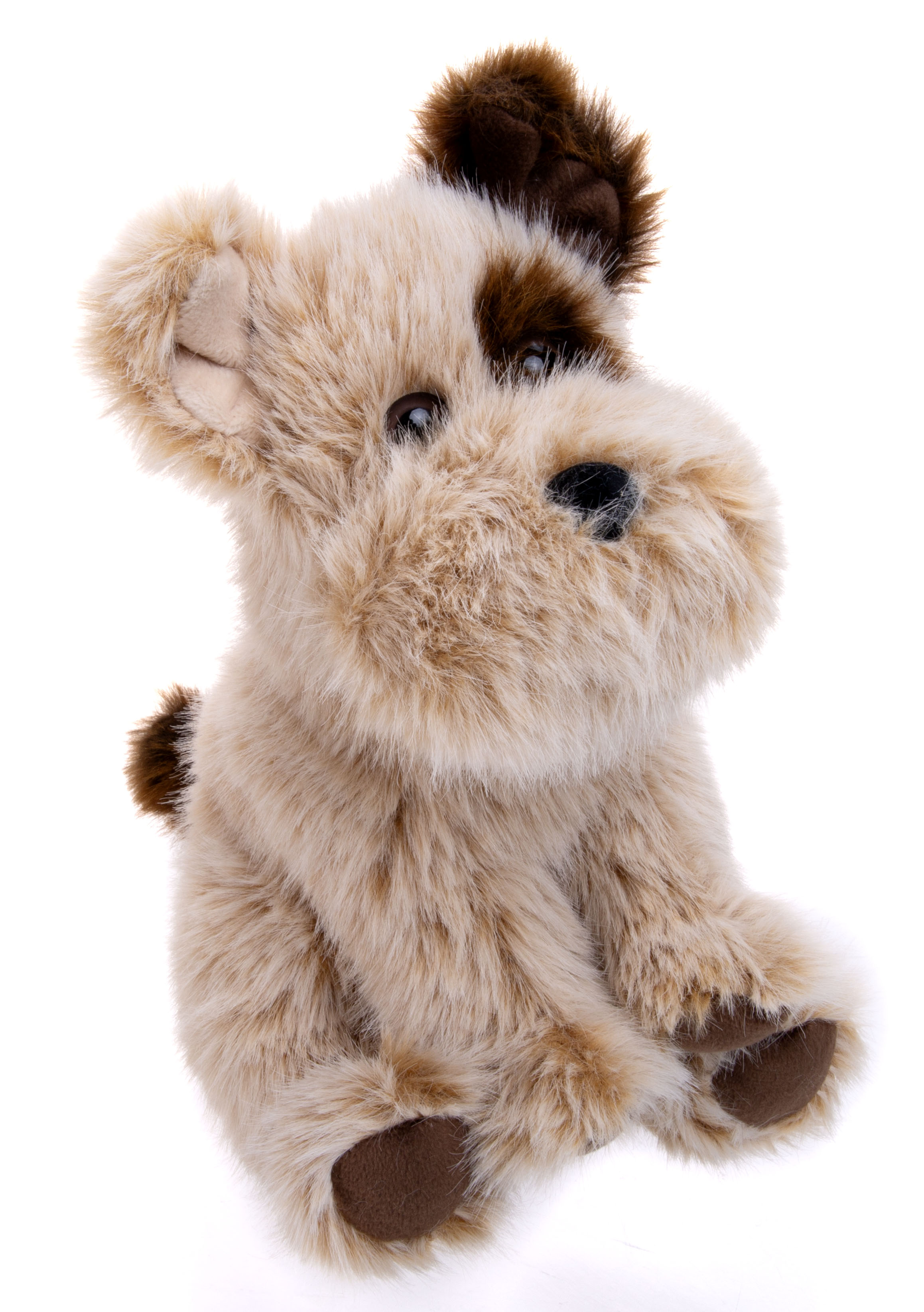 Мягкая игрушка Gulliver собачка Собачка бежевая Чижик 22 см - фото 1