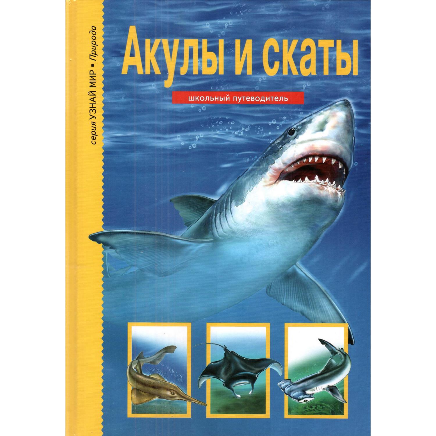 Книга Лада Акулы и скаты Школьный путеводитель - фото 1