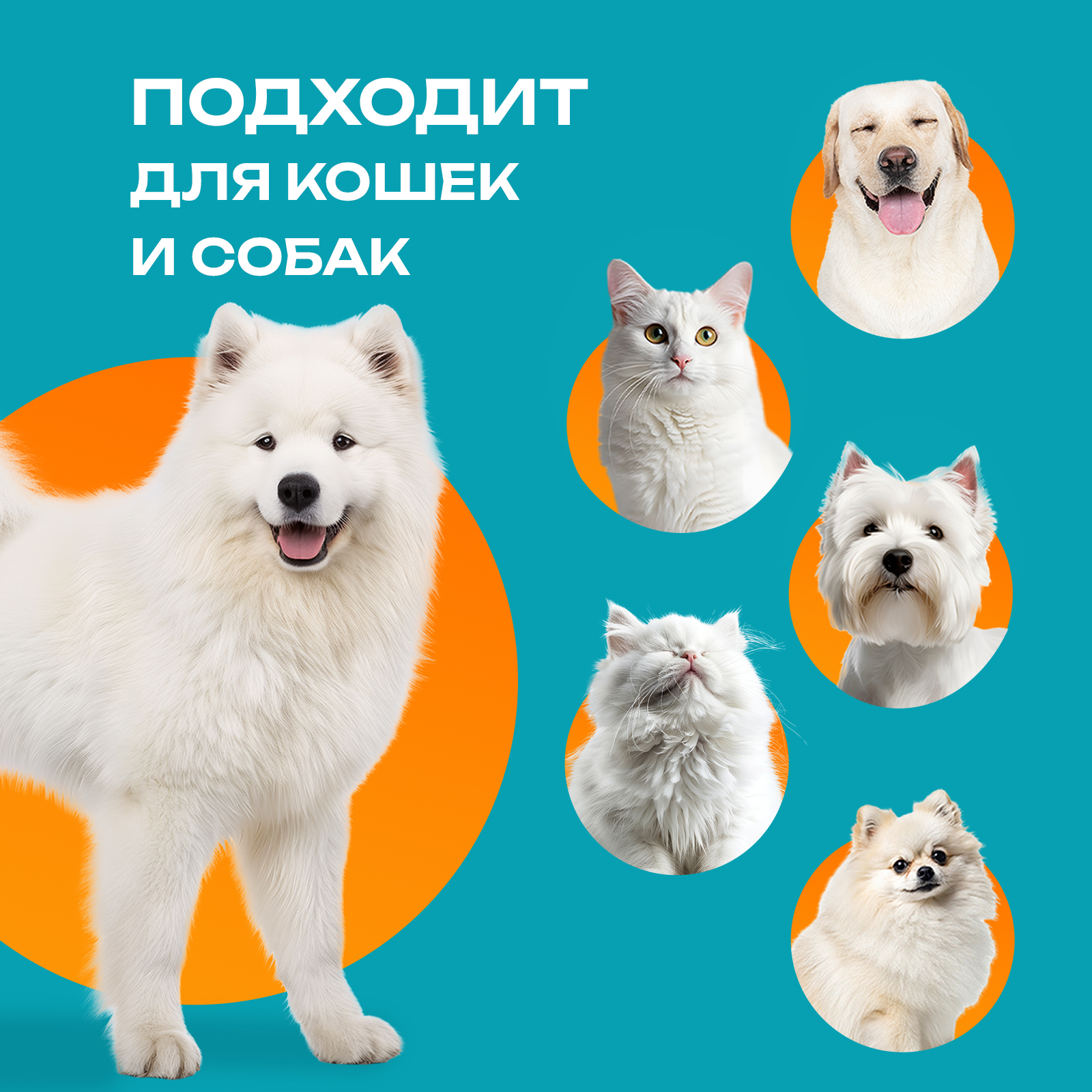 Фиолетовый шампунь PETPOWER от желтизны на белой шерсти собак и кошек - фото 6