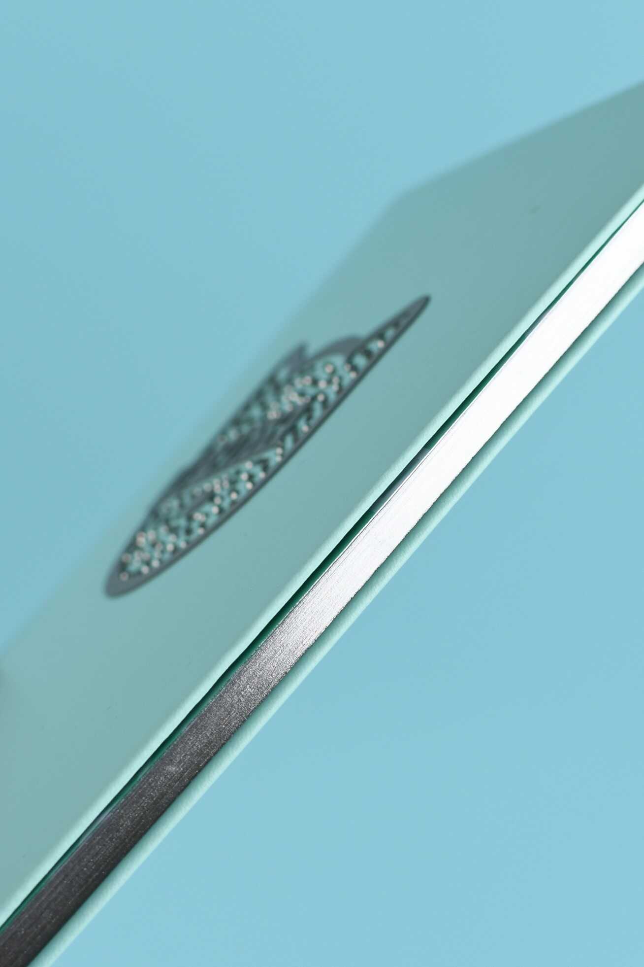 Дневник школьный Феникс + Серебряный котенок - фото 3