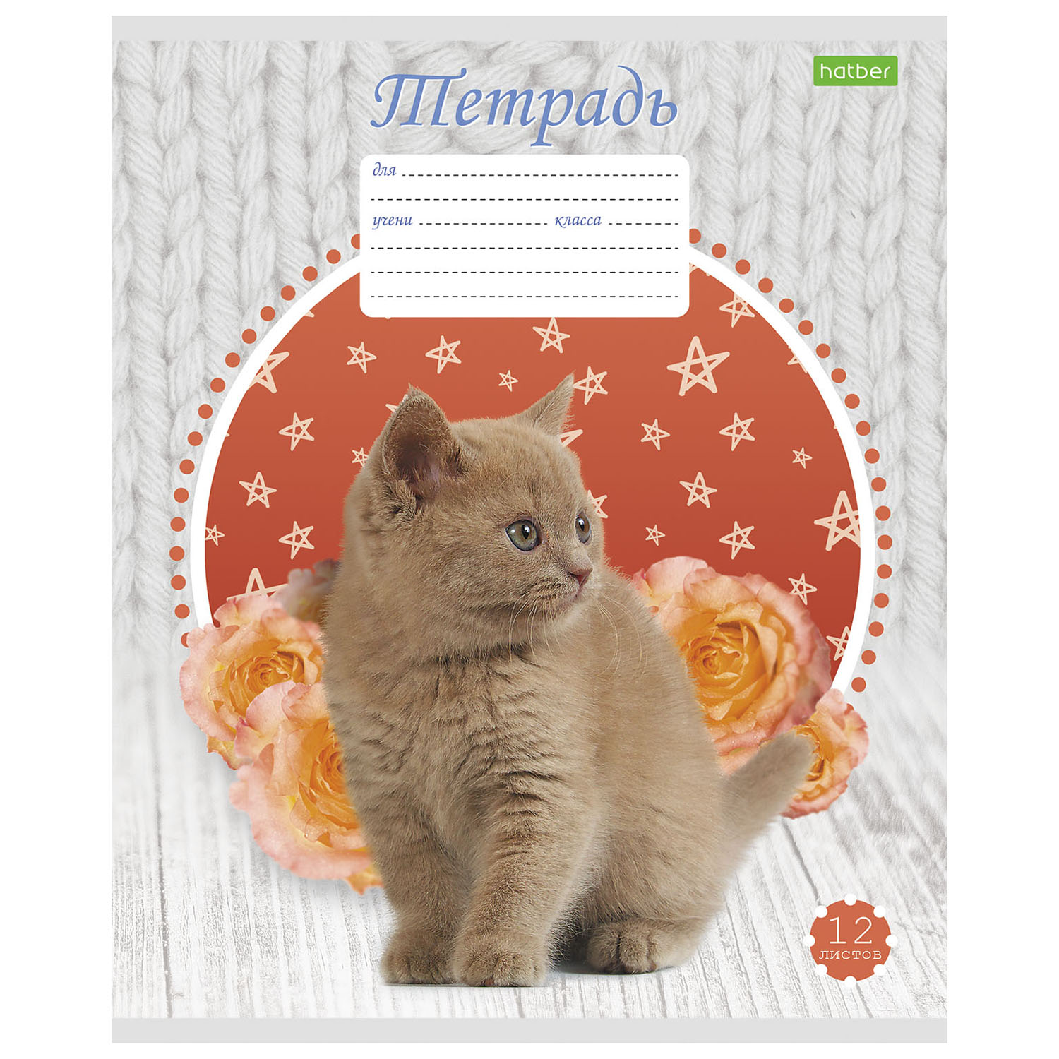 Тетрадь Hatber клетка 12 лист. в ассортименте - фото 2