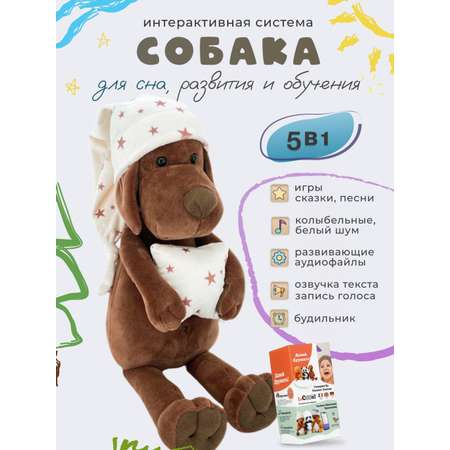 Мягкая игрушка ДРУГ ЕНОТ собачка