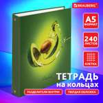 Тетрадь со сменным блоком Brauberg клетка 240 лист.