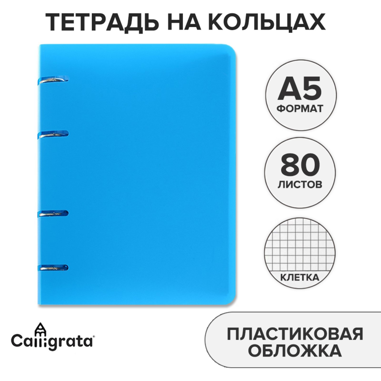 Тетрадь со сменным блоком Calligrata клетка 80 лист. - фото 2