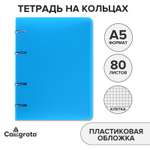 Тетрадь со сменным блоком Calligrata клетка 80 лист.