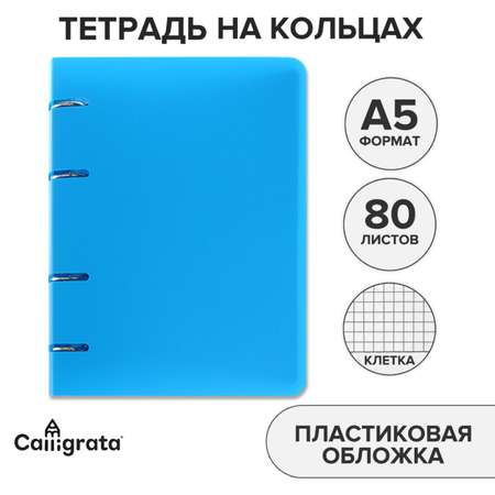 Тетрадь со сменным блоком Calligrata клетка 80 лист.
