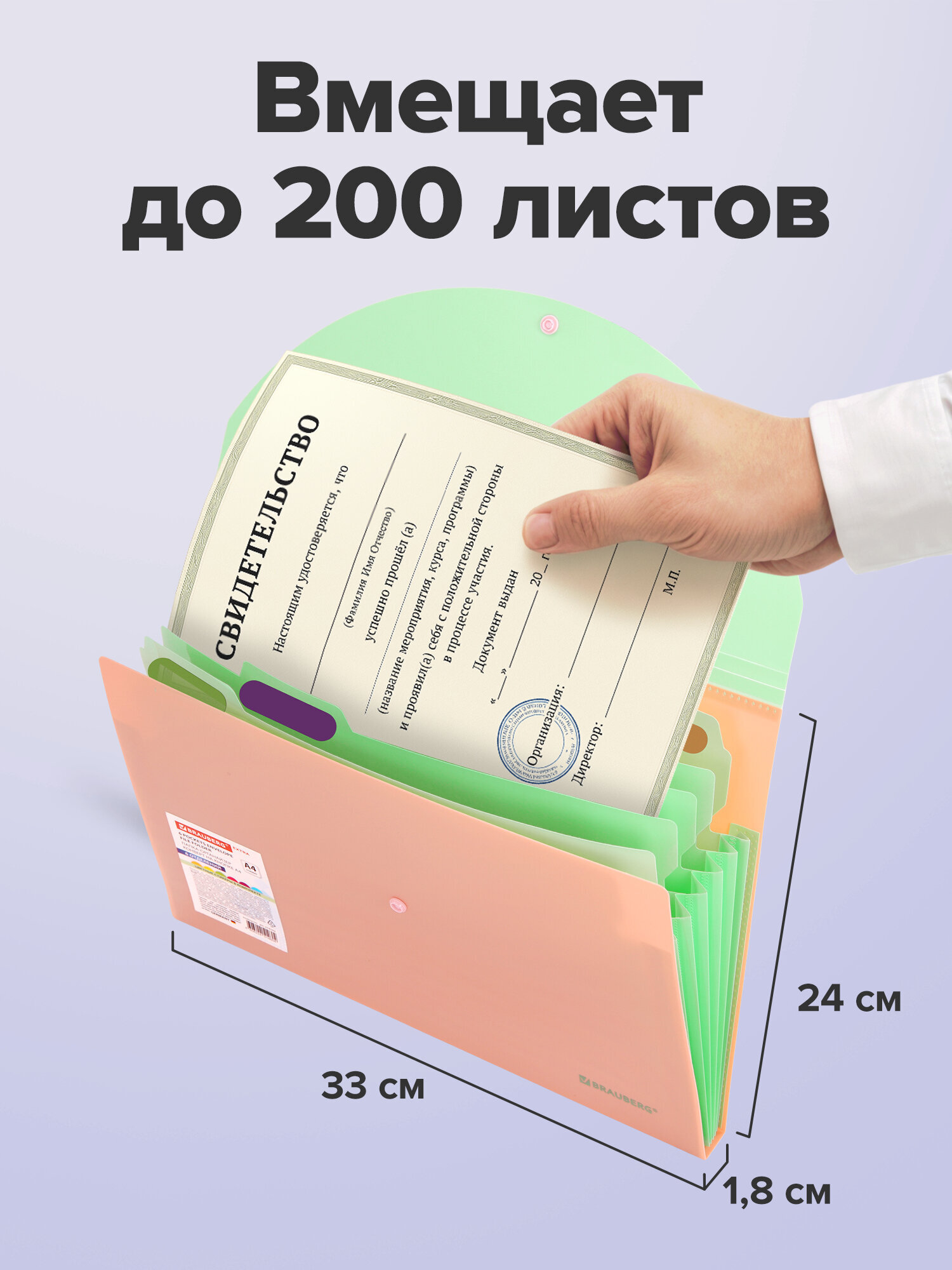 Папка-органайзер Brauberg персиковая с мятным А4 - фото 2