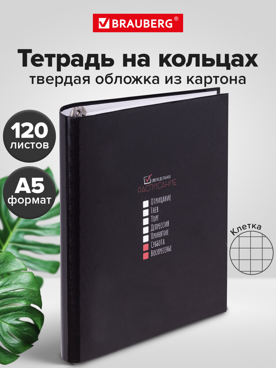 Тетрадь со сменным блоком Brauberg клетка 120 лист. - фото 1