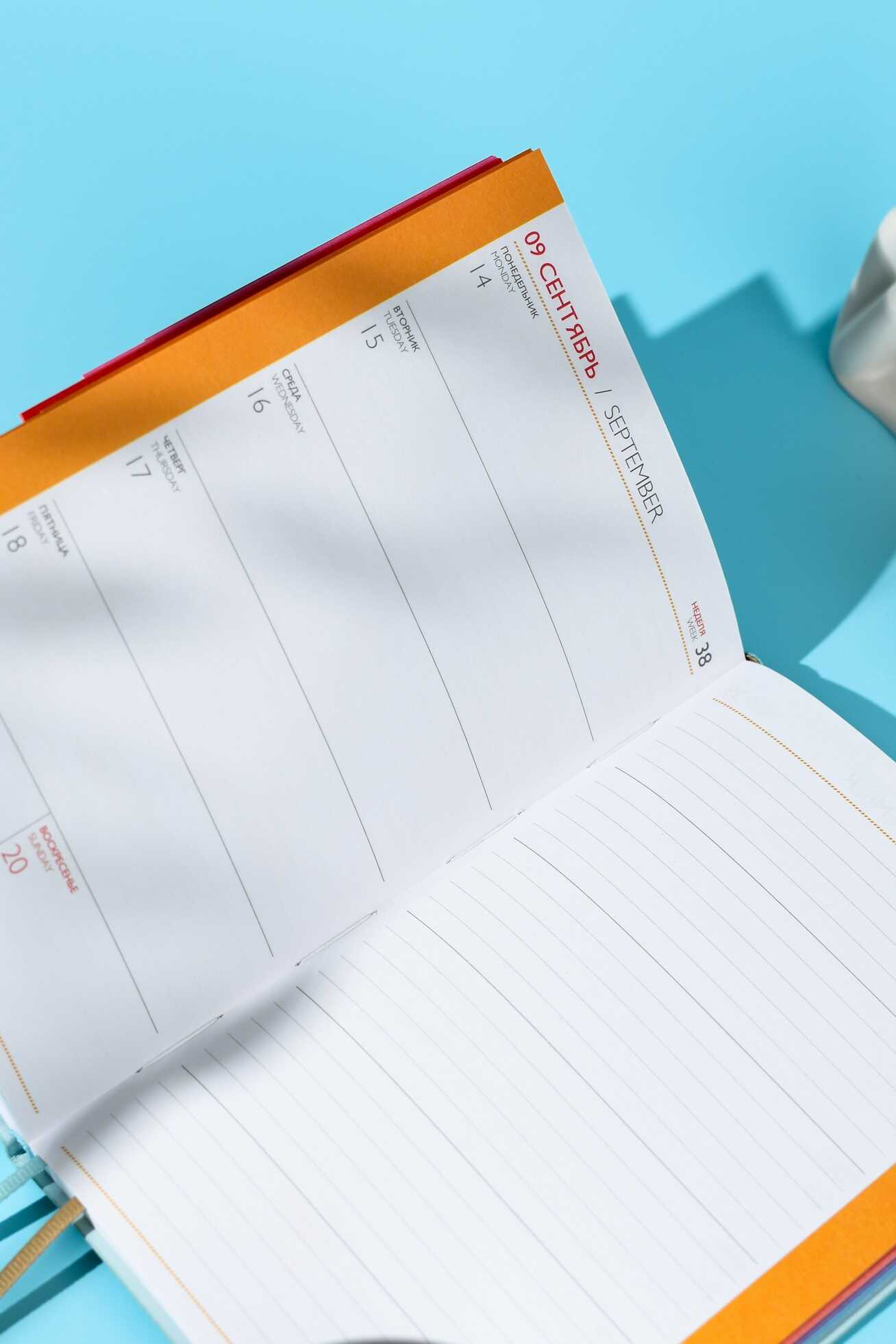 Ежедневник Феникс + ESCALADA 96 лист. - фото 11