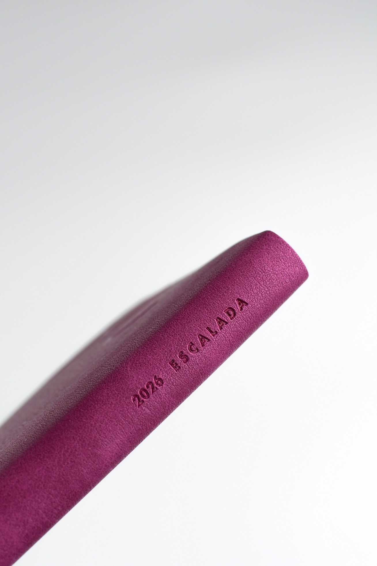 Ежедневник Феникс + ESCALADA 176 лист. - фото 12