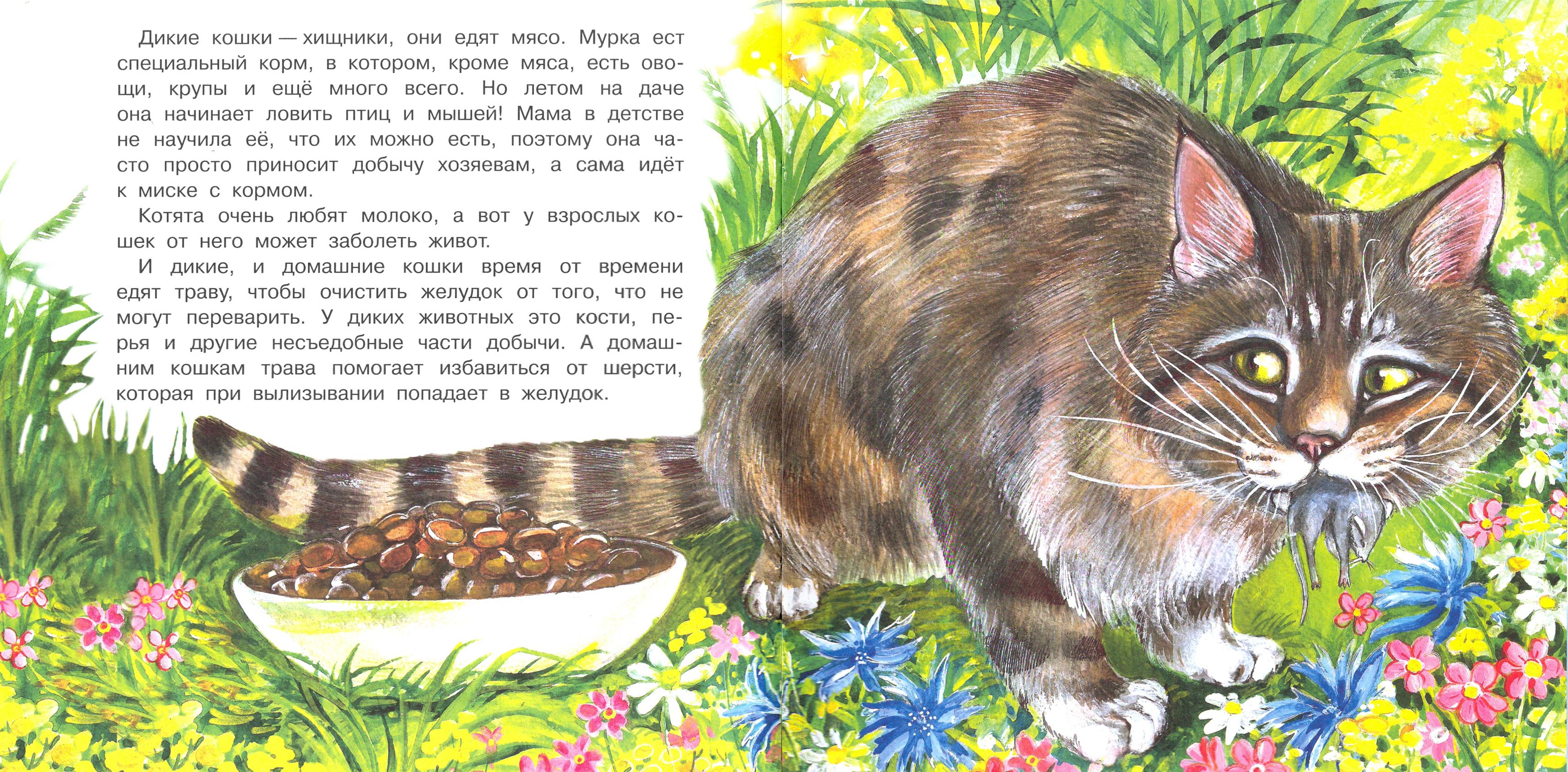 Книга Качели Большая кошачья семья - фото 2