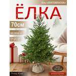 Ель Златовласка Поезд Ёлок литая 70 см