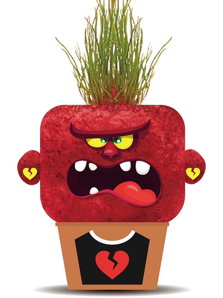 Набор для выращивания Hape - фото 4