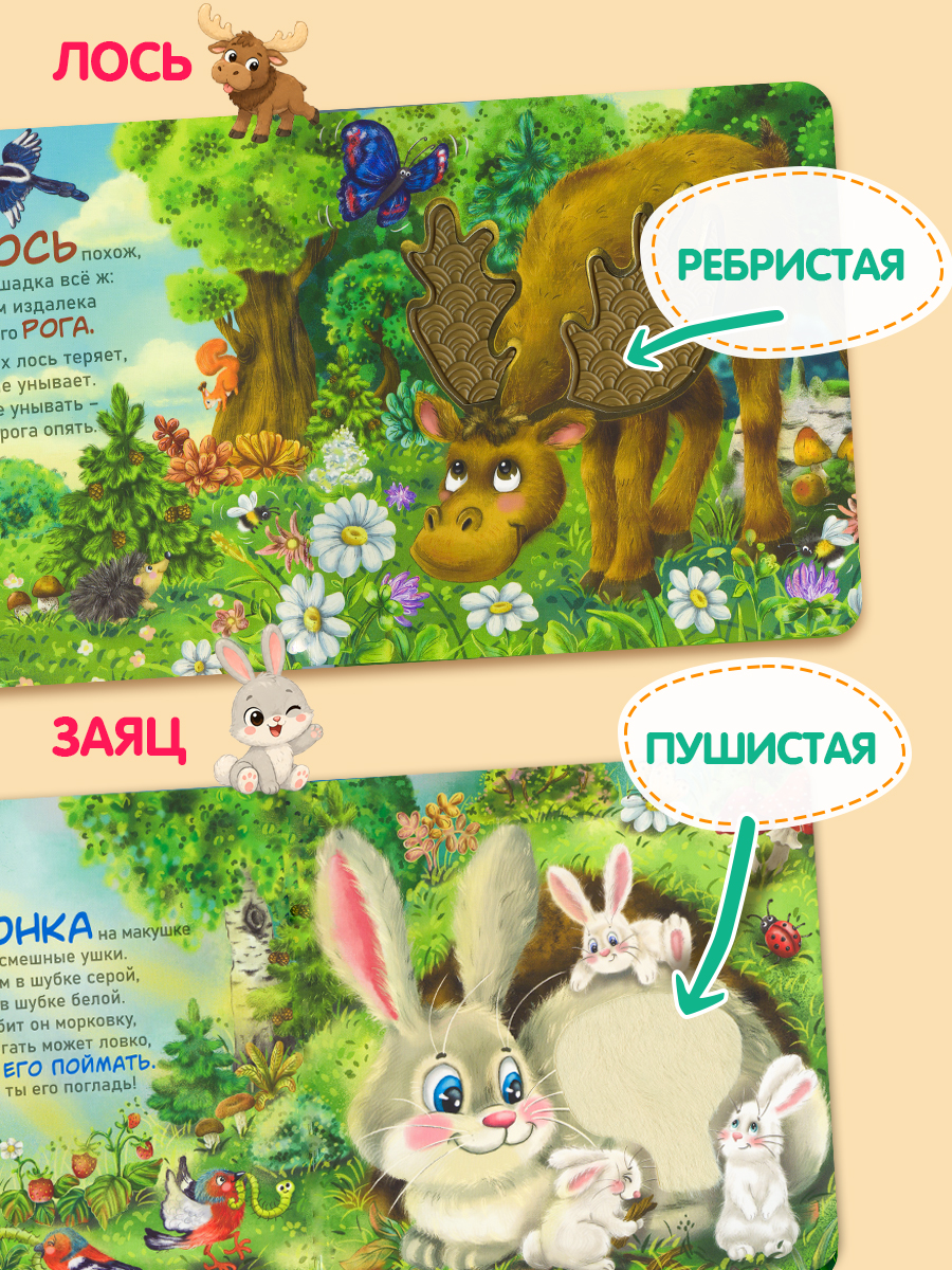 Тактильная развивающая книга для малышей Бигр Лес ТК-3 - фото 4