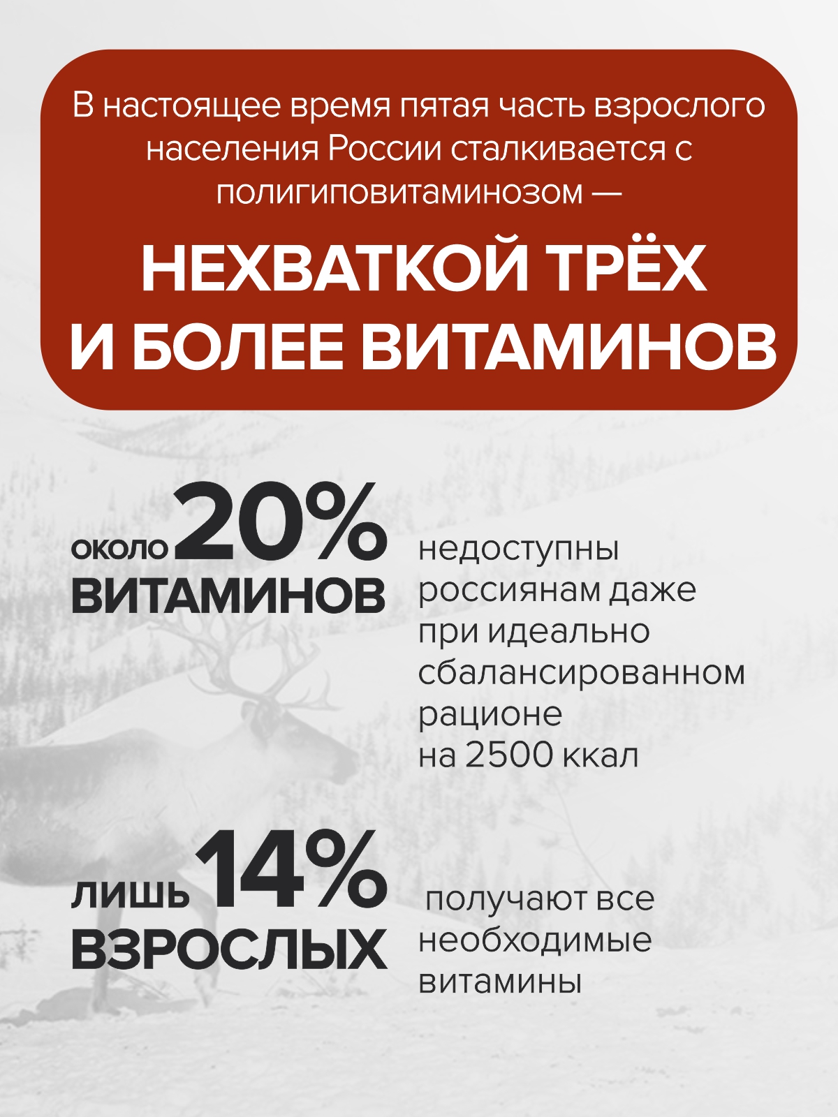 Мультивитамины для взрослых Цыгапан CigaPan Цыгапан комплекс витаминов и минералов для женщин и мужчин 120 капсул 400 мг - фото 2