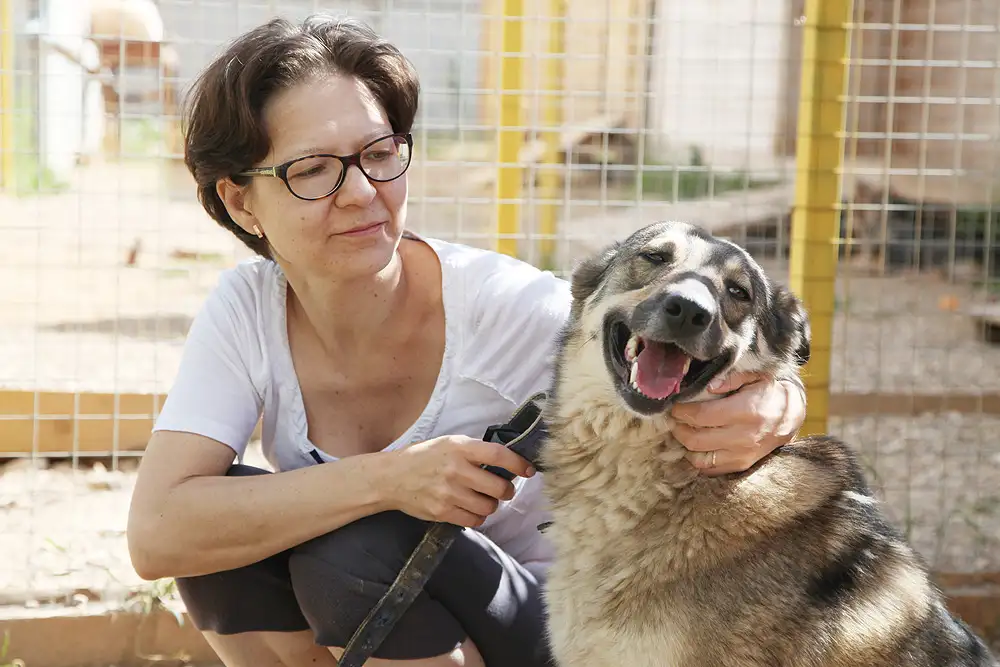 Собака Герда - фото 3