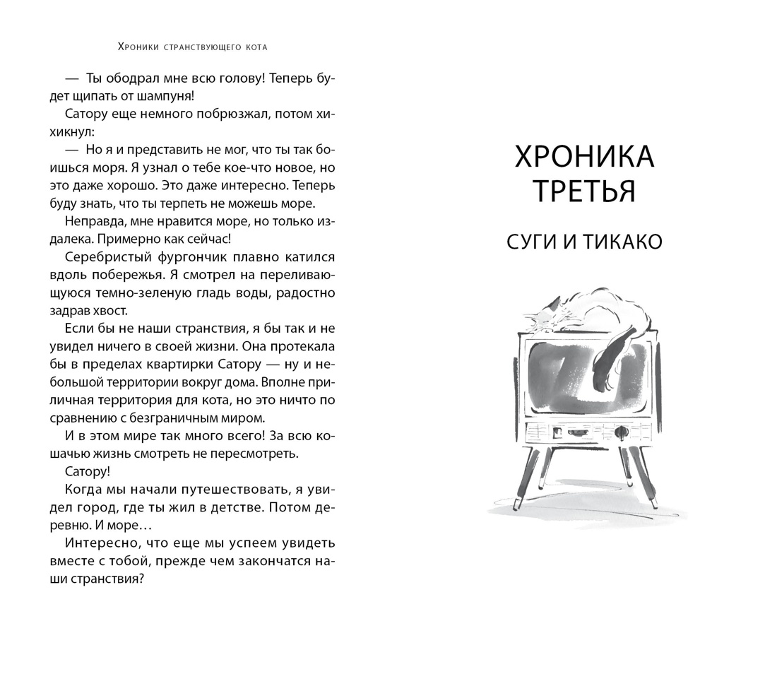 Книга АЗБУКА Хроники странствующего кота. - фото 14
