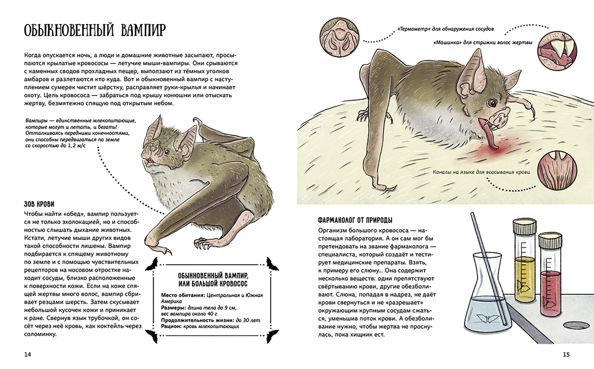 Книга Абраказябра Я тебя съем! Секреты коварных хищников - фото 3