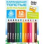 Карандаши цветные ПАНДАРОГ 12 шт.