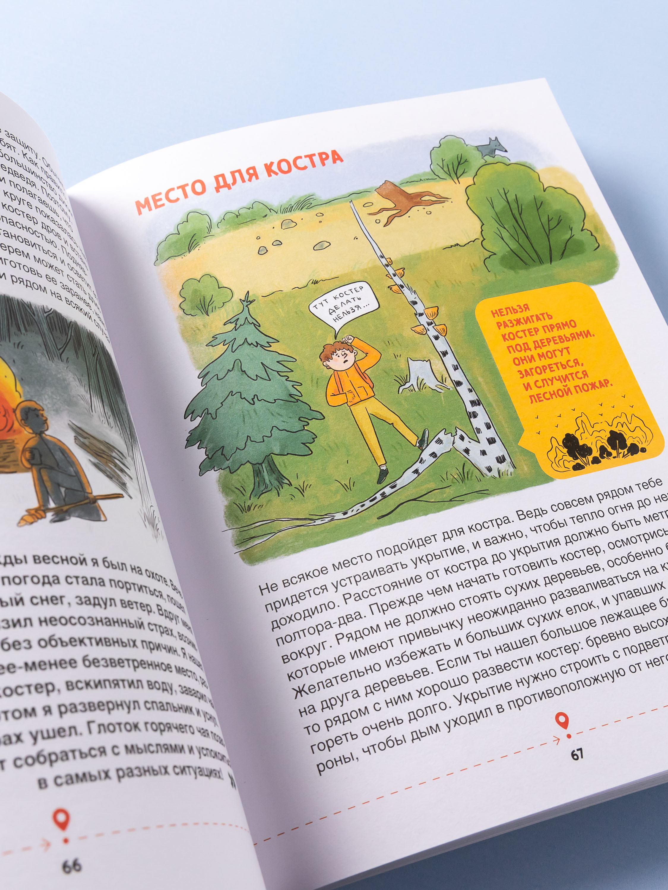 Книга Альпина. Дети Зажигалка, компас, нож: Навыки выживания в лесу - фото 8