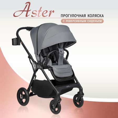Коляска прогулочная Aimile Aster