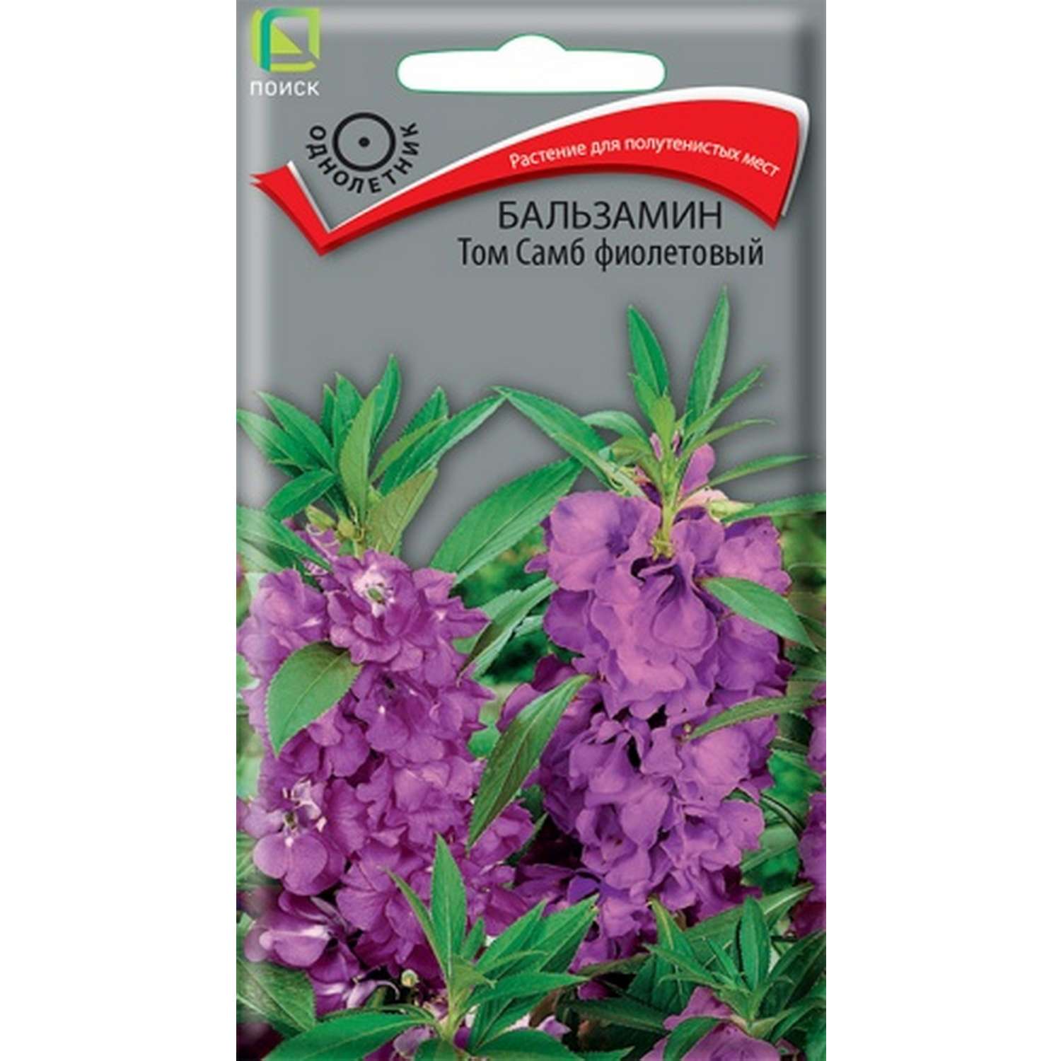Бальзамин ПОИСК Том Самб фиолетовый 0.1г - фото 1
