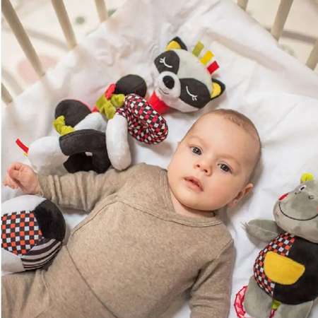 Игрушка Babyono мяч Contrast в ассортименте
