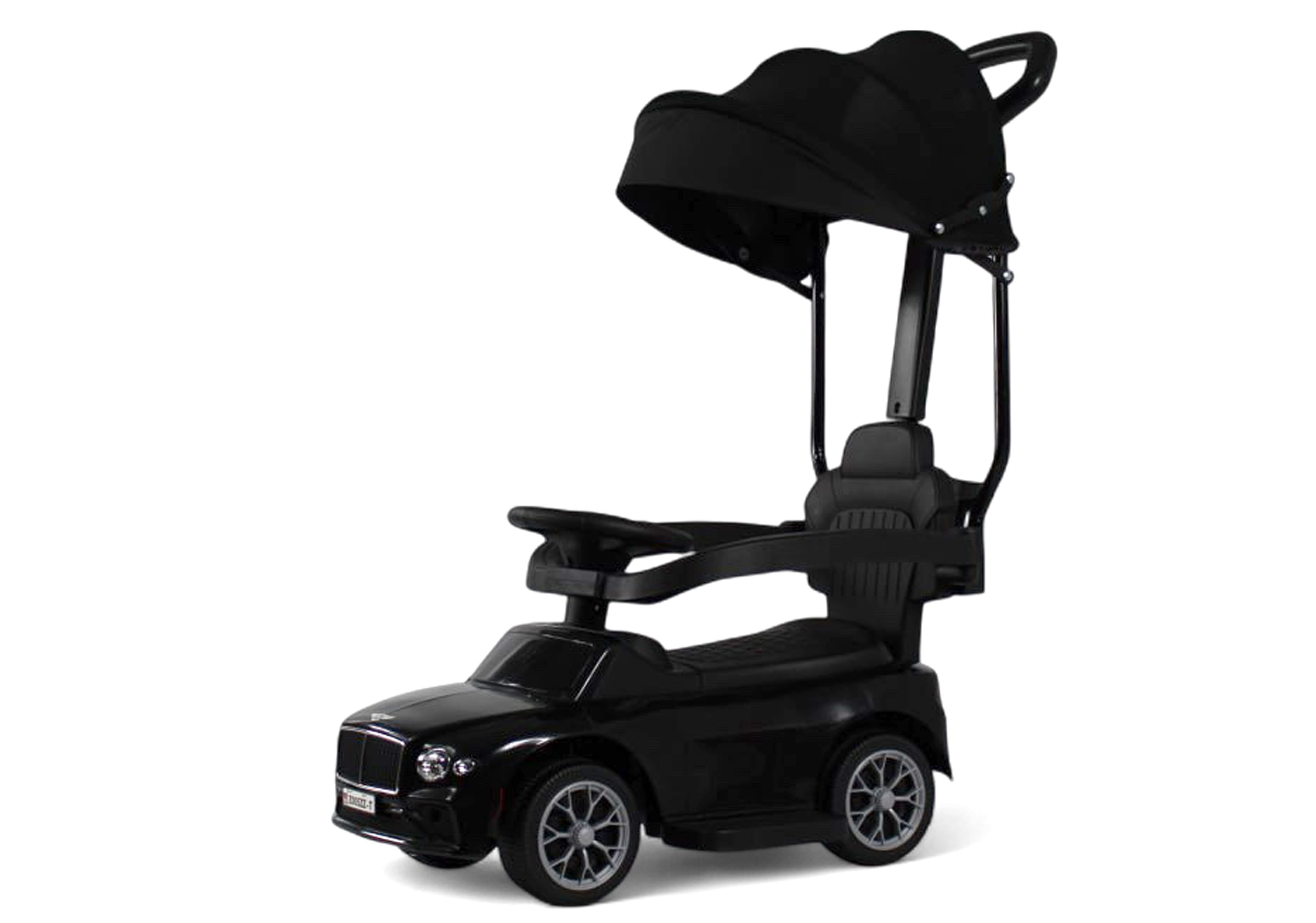 Каталка RIVERTOYS Z005ZZ-TP-BLACK черный - фото 12
