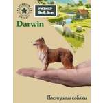 Фигурка DARWIN Собака Колли