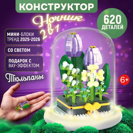 Конструктор Blockformers 620 дет.