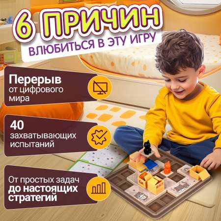 Настольная игра 1TOY Котятки играют в прятки