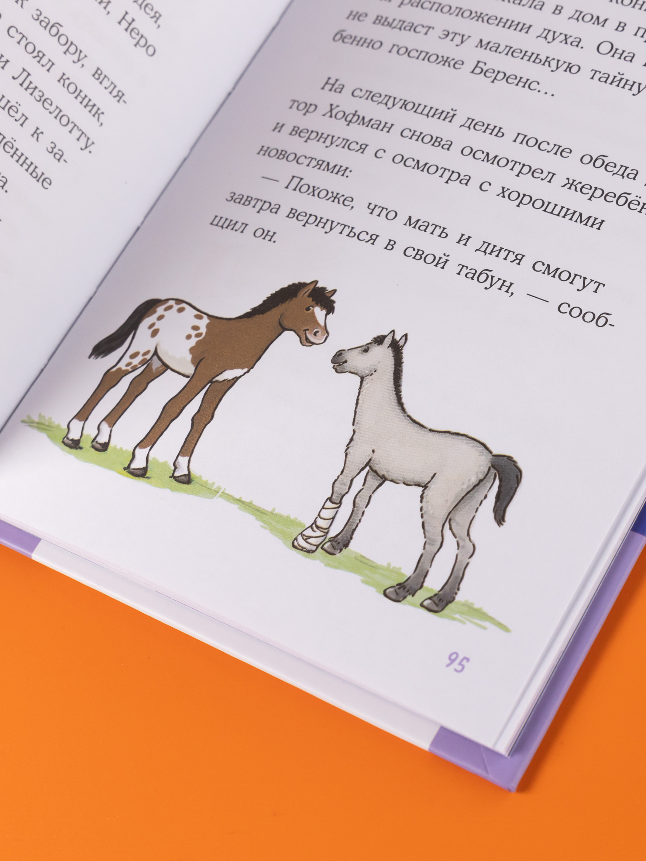 Книга Альпина. Дети Конни и спасение диких лошадей - фото 6